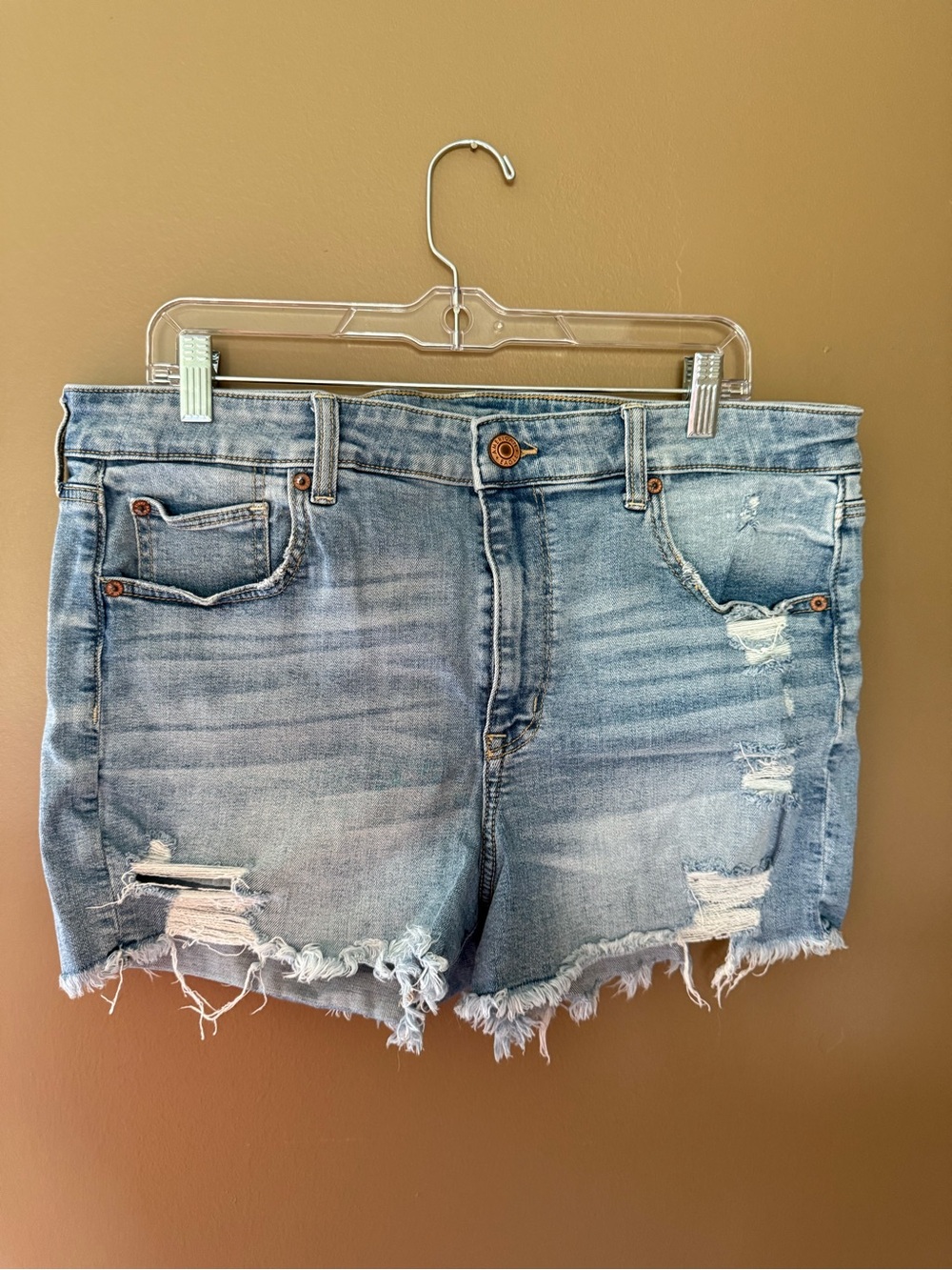 American Eagle Distressed Jean Shorts